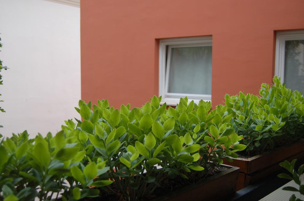 Buda Castle Apartments Budapest Room photo