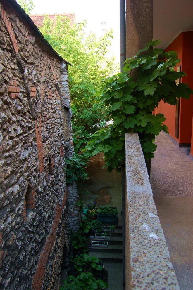 Buda Castle Apartments Budapest Exterior photo