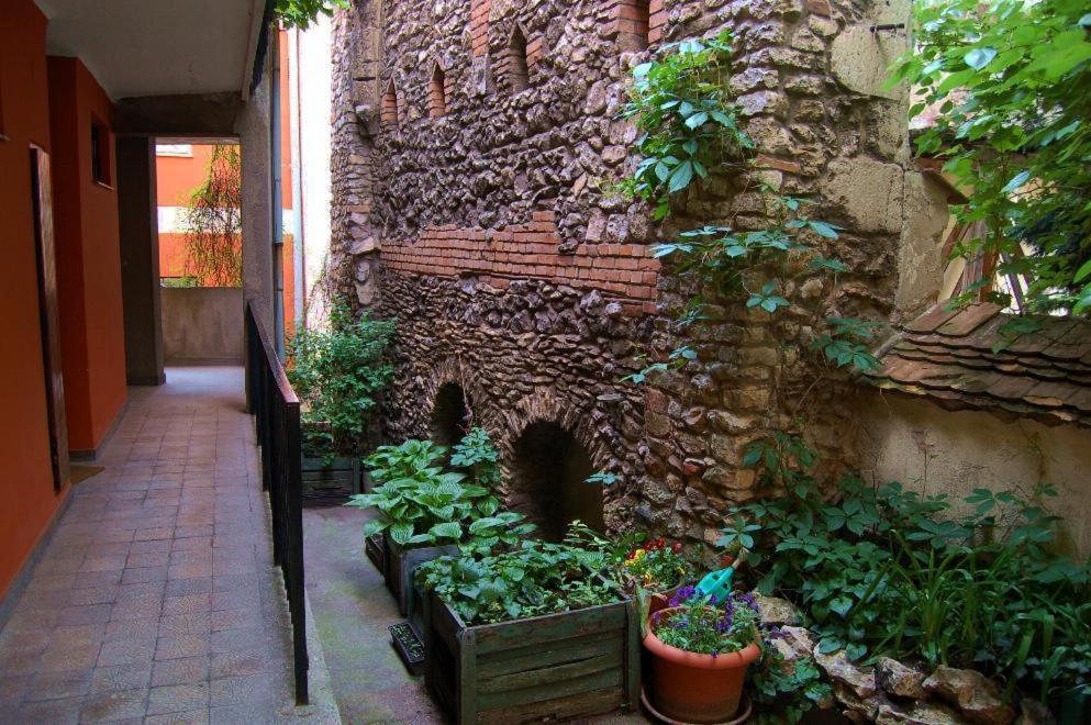 Buda Castle Apartments Budapest Exterior photo